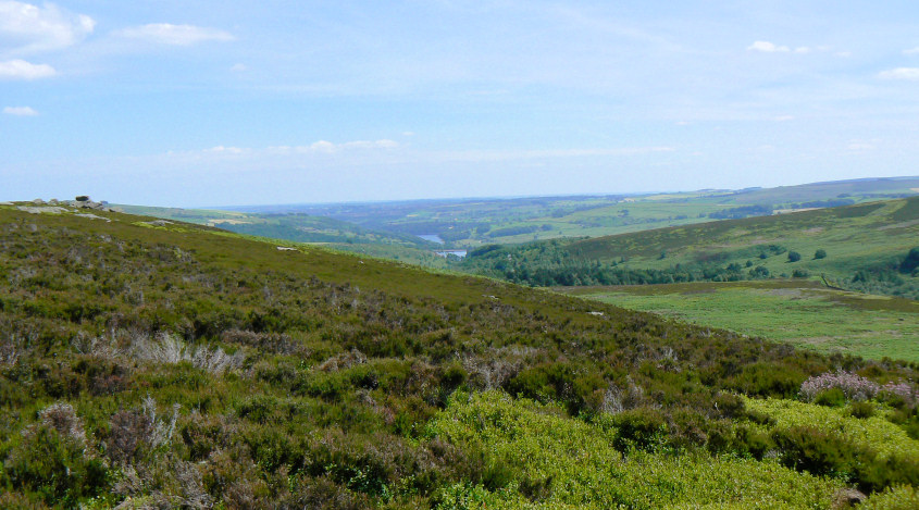 Agden & Damflask Reservoirs Agden & Damflask Reservoirs